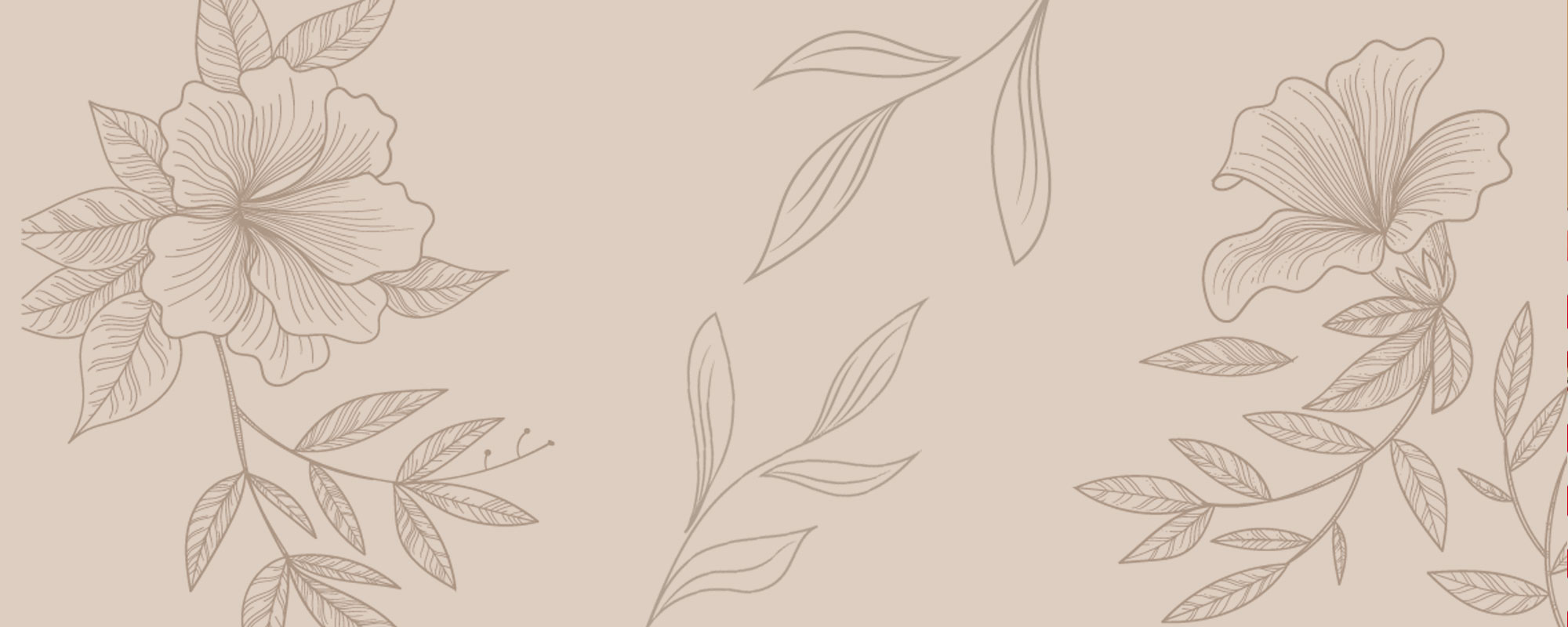 Escale Beauté Les Thermes